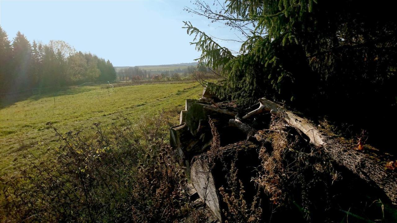 Landhaus Eva-Maria Villa Elbingerode  Kültér fotó