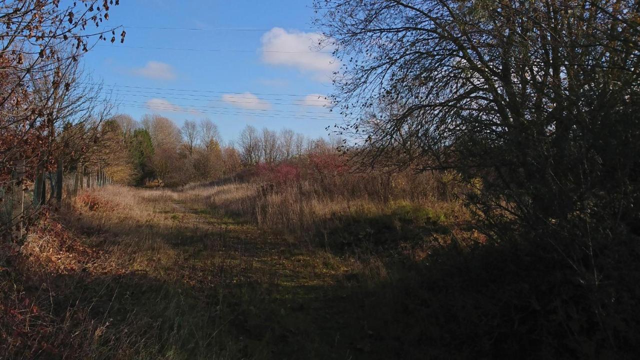 Landhaus Eva-Maria Villa Elbingerode  Kültér fotó